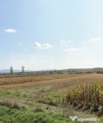 Teren de vanzare la drumul judetean, Pericei