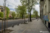 Kogalniceanu, Facultatea de Drept, Comision 0 % 