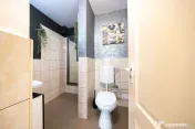 Spațiu comercial stradal de închiriat - Central - Iuliu... 