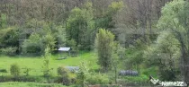 PADURE SALCAM, 120000mp, BRADESTI