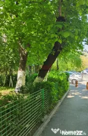 2 Camere Modern | Mobilă Nouă | Sector 4 – Zona Straja 