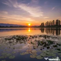 TEREN SILISTEA SNAGOVULUI 5000mp iesire LAC 30ml