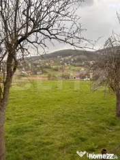 Teren de vânzare 1200 mp – Șuncuiuș, zonă cabane – i 