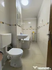 Lacul Tei - Facultatea de construcții 