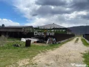 Teren de vanzare Dumbrava Rosie 20.000 Euro 900mp 