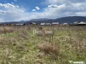 Teren de vanzare Dumbrava Rosie 20.000 Euro 900mp 