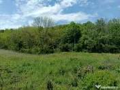 Intravilan Tiparesti, relaxare aproape de padure 