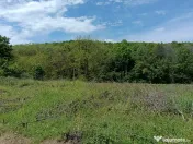 Intravilan Tiparesti, relaxare aproape de padure 
