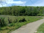 Intravilan Tiparesti, relaxare aproape de padure 