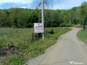 Intravilan Tiparesti, relaxare aproape de padure 