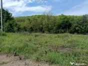 Intravilan Tiparesti, relaxare aproape de padure 