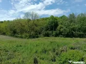 Intravilan Tiparesti, relaxare aproape de padure 