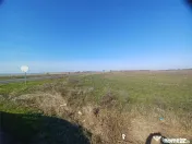 Teren Judetul Calarasi- Cuza Voda Stradal DN3