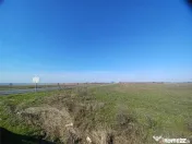 Teren Judetul Calarasi- Cuza Voda Stradal DN3