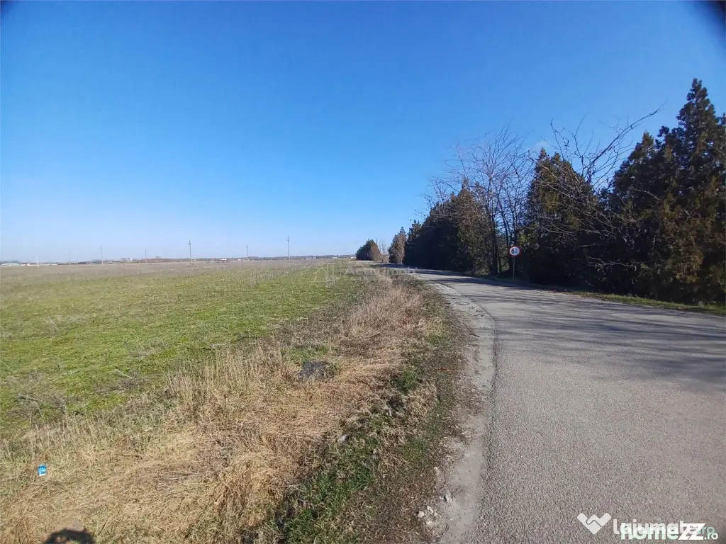 Teren Judetul Calarasi- Cuza Voda Stradal DN3