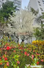 Bulevardul Obregia - Piața Sudului - 3 camere - centrală,