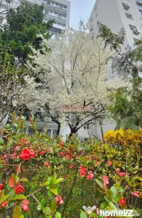 Bulevardul Obregia - Piața Sudului - 3 camere - centrală, 