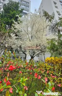 Bulevardul Obregia - Piața Sudului - 3 camere - centrală,