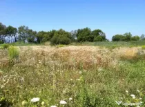 Teren industrial, 5300 mp, platformă betonată, toate utili