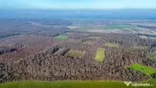 Teren langa Manastirea Sfantul Nicolae Sitaru 