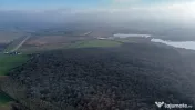 Teren langa Manastirea Sfantul Nicolae Sitaru 