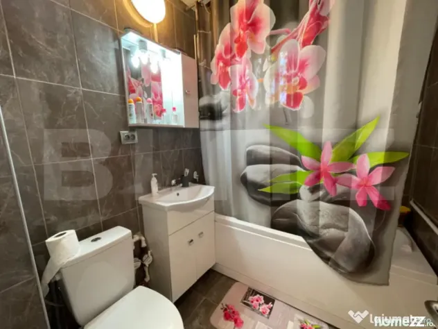 Apartament 2 camere aer conditionat, Brazda lui Novac, zona