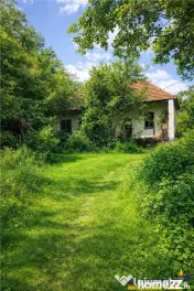 Domeniu verde autentic, 5.000mp, front la DJ, Valcele, Bra 