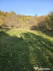 Loturi teren de vânzare 950mp!