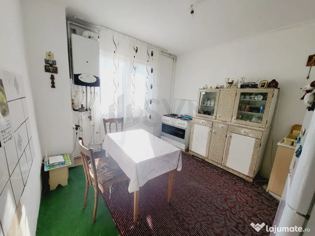 Casa Individuala - Soseaua Alexandriei - Curte generoasa