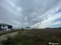 Teren de Otopeni Lidl