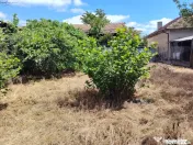 PROPRIETATE MARE ÎN COMUNA LEU, DOLJ, 2023MP TEREN 