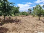PROPRIETATE MARE ÎN COMUNA LEU, DOLJ, 2023MP TEREN 