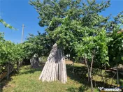 Casa traditionala, cu 2.000mp teren roditor, Izvoarele, Prah 