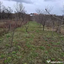 Casa de vanzare Balanesti