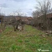 Casa de vanzare Balanesti