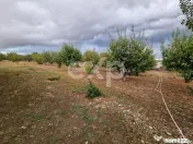 Teren de vanzare intravilan 660 mp + 1500 livada Racovița 