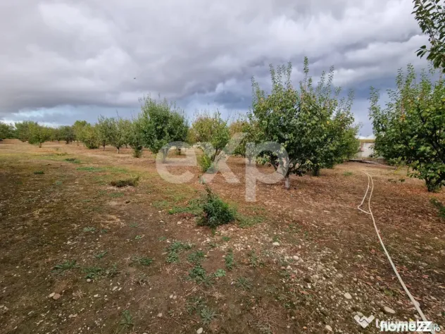 Teren de vanzare intravilan 660 mp + 1500 livada Racovița