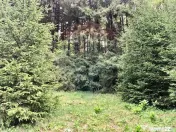COMISION 0% | Teren intravilan | Predeal Valea Ursului | ... 