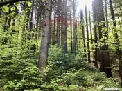 COMISION 0% | Teren intravilan | Predeal Valea Ursului | ...