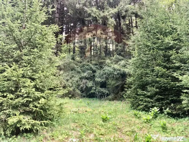 COMISION 0% | Teren intravilan | Predeal Valea Ursului | ... - Predeal (Brasov)