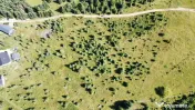Intravilan 