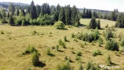 Intravilan 