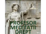 Profesor ofer meditatii (si online prin Teams) la Drept, sedinta demonstrativa