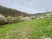 Teren intravilan Deva- Roci