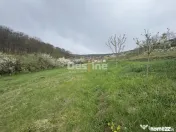 Teren intravilan Deva- Roci