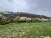 Teren intravilan Deva- Roci