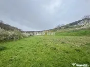 Teren intravilan Deva- Roci