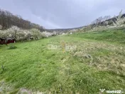 Teren intravilan Deva- Roci