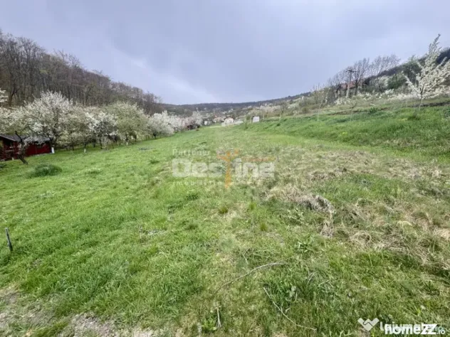 Teren intravilan Deva- Roci
