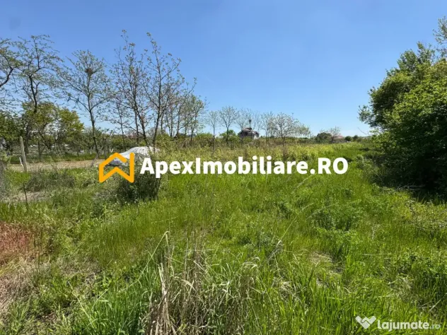 Teren intravilan de vanzare Cornetu IF | ApexImobiliare.ro